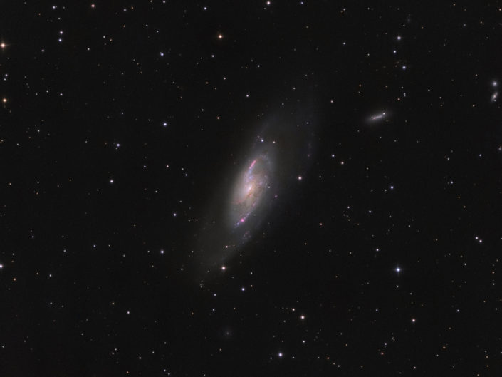 Messier 106, Krefeld, 2014