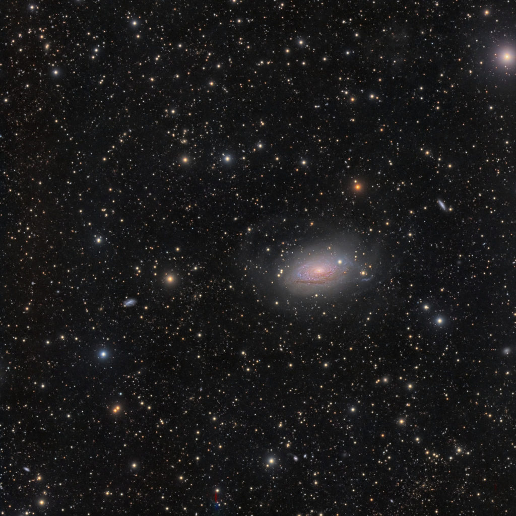 Messier 63 - Sun Flower Galaxy (Sonnenblumengalaxie), (DSW), New Mexico, 2018