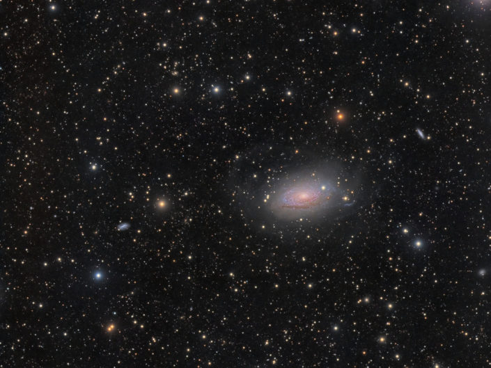 Messier 63 - Sun Flower Galaxy (Sonnenblumengalaxie), (DSW), New Mexico, 2018