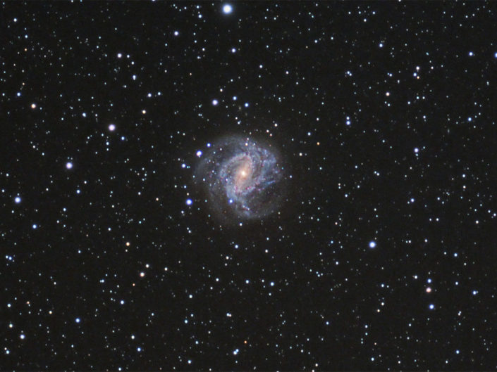 Messier 83 - Southern Pinwheel Galaxy (Südliche Feuerradgalaxie), Namibia, Tivoli, 2008