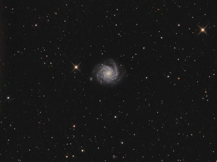 NGC 1232, Namibia, 2013