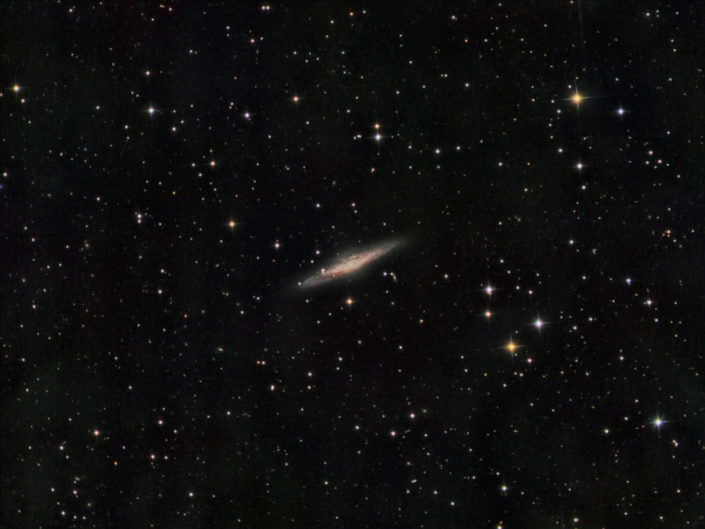 NGC 2683, Krefeld, 2018