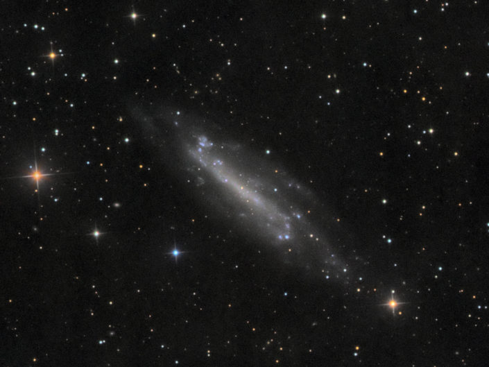 NGC 4236, Krefeld, 2018