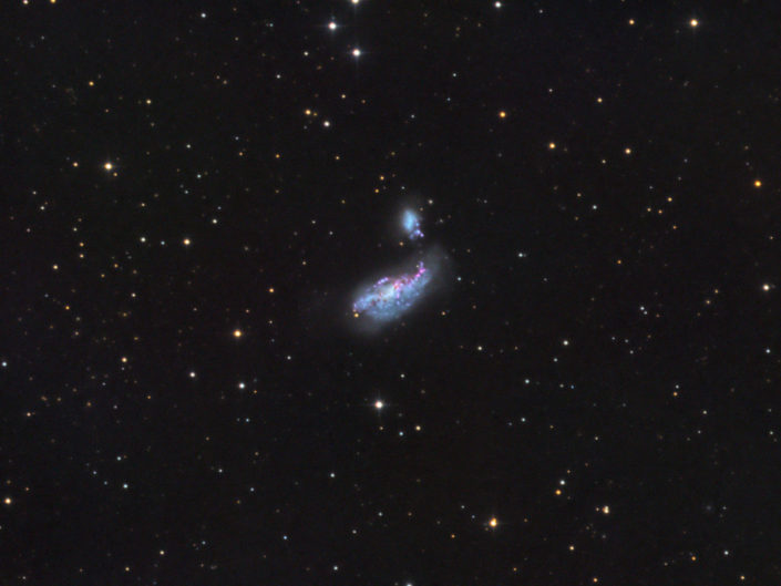 NGC 4485 and 4490, Krefeld, 2016