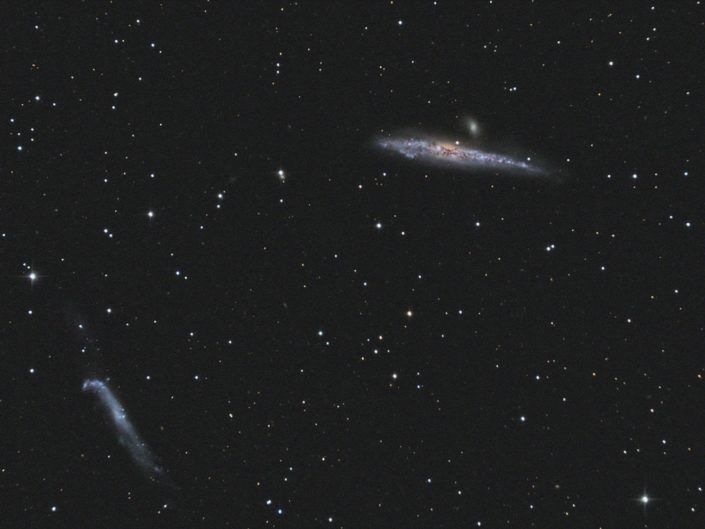 NGC 4631 and NGC 4656, Krefeld, 2013