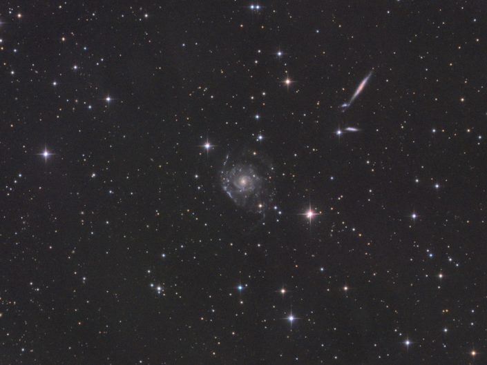 NGC 2805