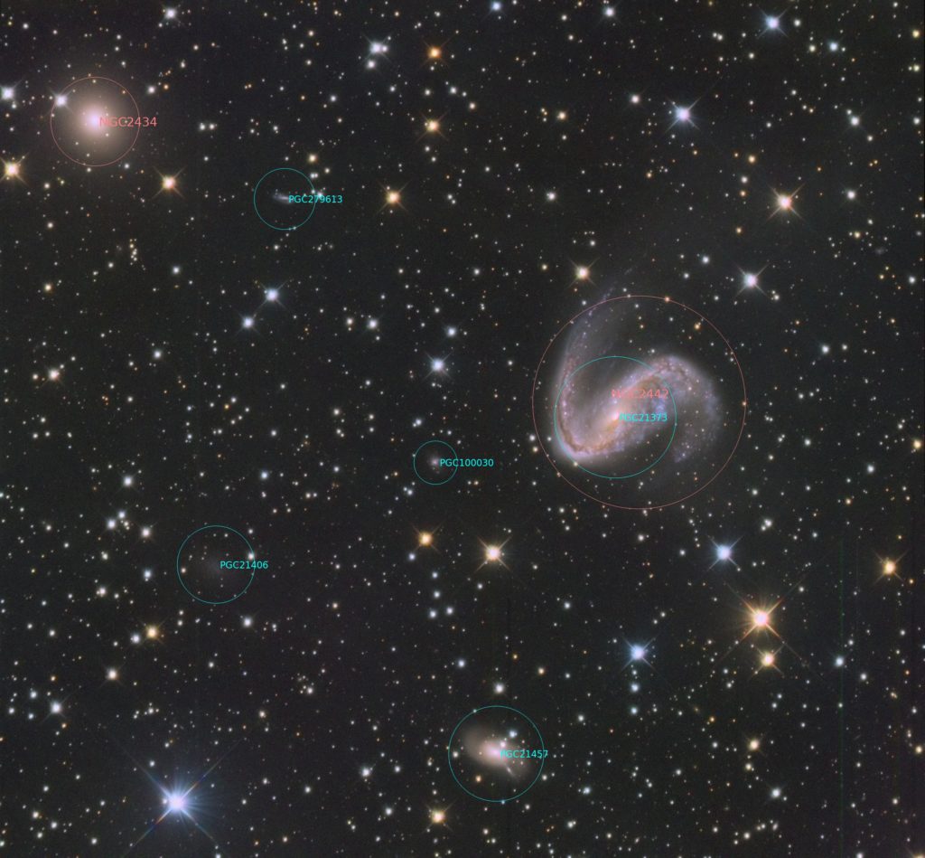 NGC 2442, 2443 annotated