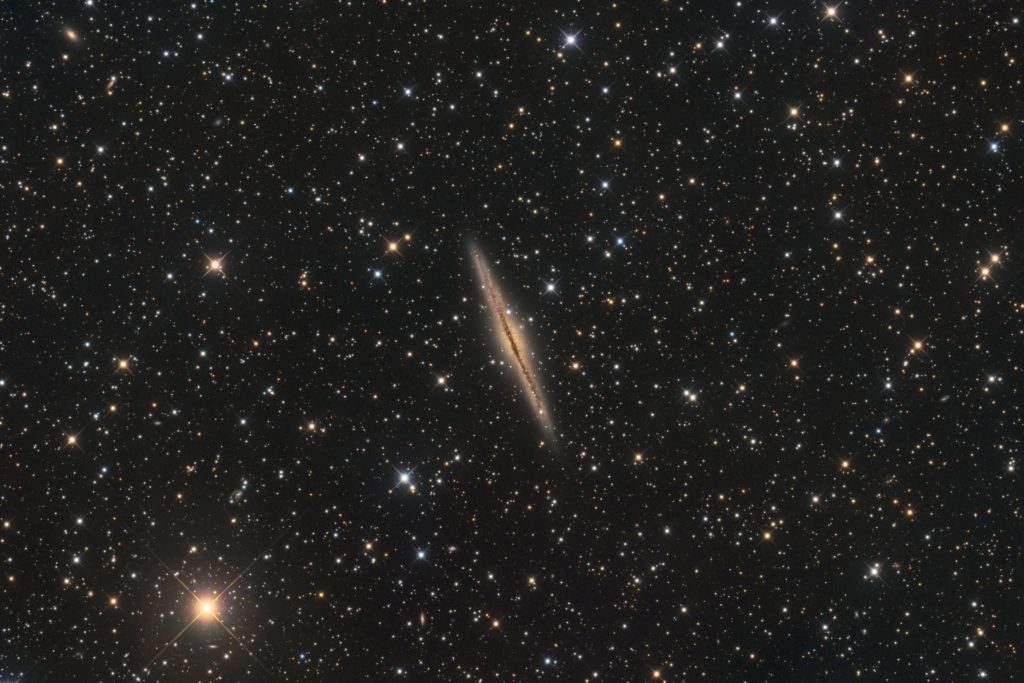 NGC 891