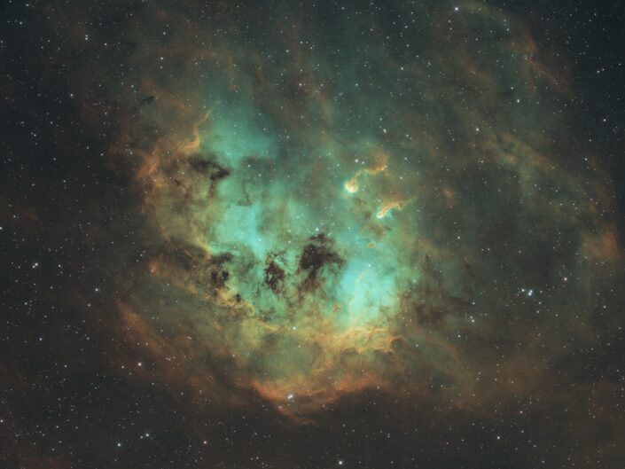 IC 410 The Tadpoles Nebula, (AFIL-1, Insight Observatory), 2021