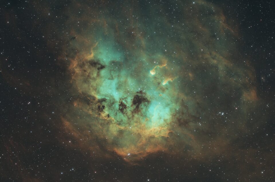 IC 410 The Tadpoles Nebula, (AFIL-1, Insight Observatory), 2021