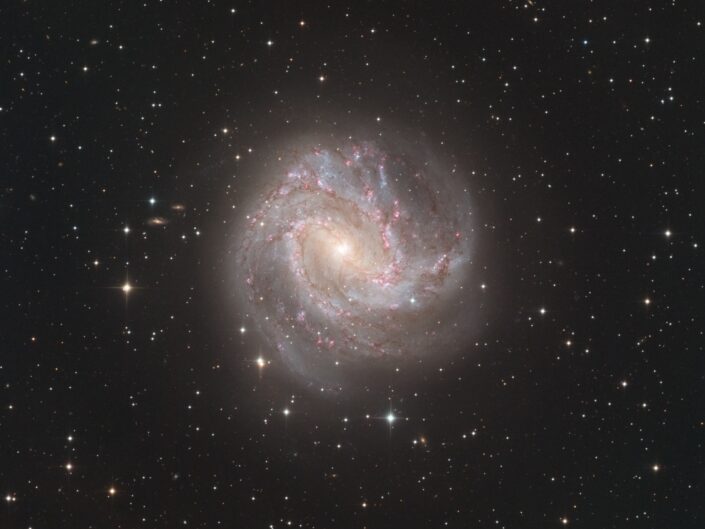 Messier 83 Southern Pinwheel Galaxy (CHI-1, Telescope Live), 2021