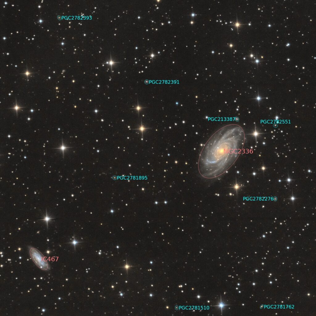 NGC 2336 annotated