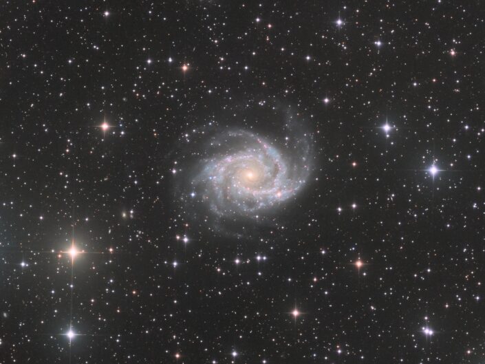 NGC 2997, CHI-1 Telescope LIve, 2021-2022