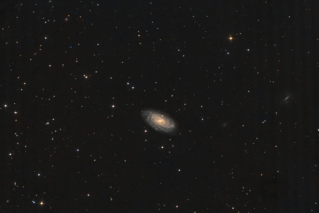 NGC 3953, Krefeld, 2022