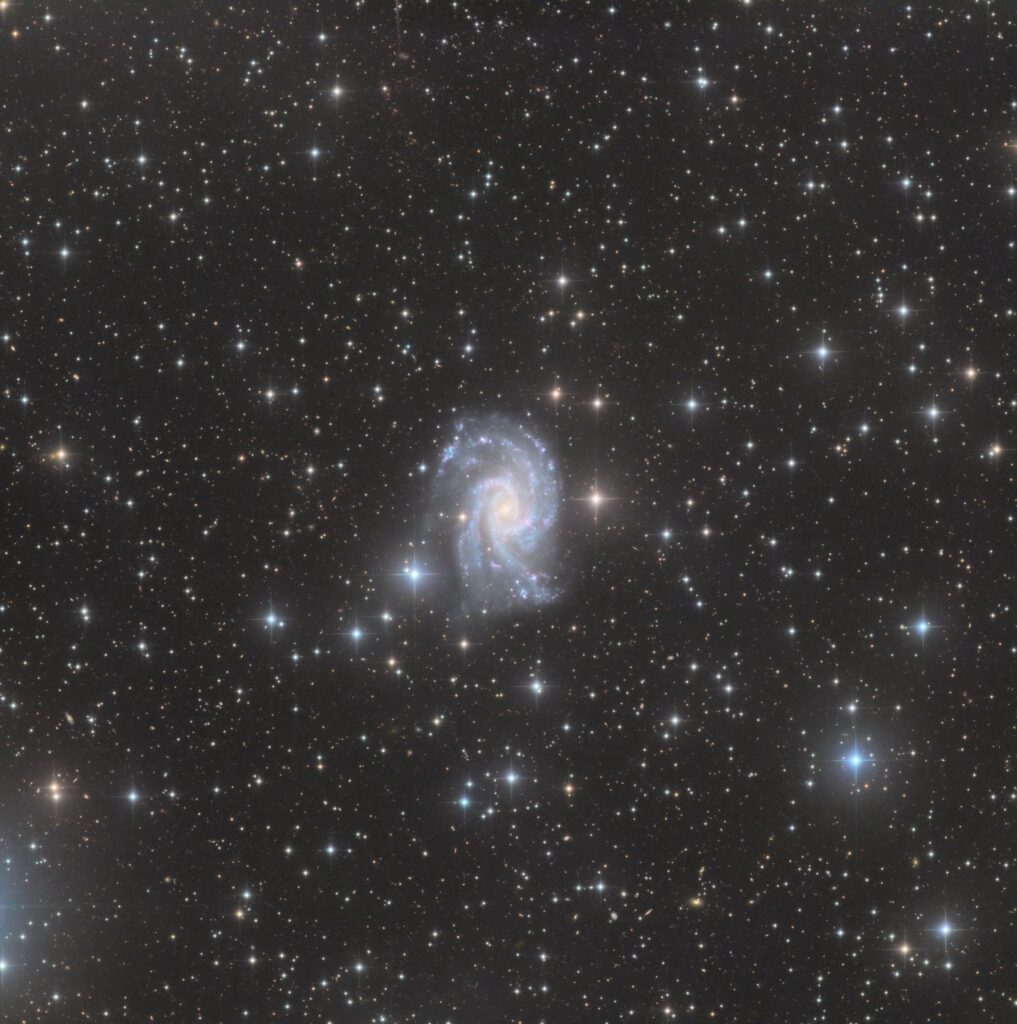 NGC 2835, (CHI-1 Telescope Live), 2020