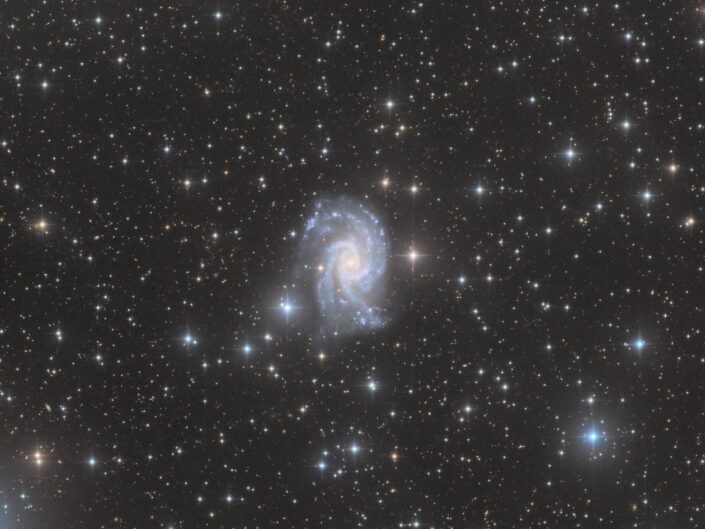 NGC 2835, (CHI-1 Telescope Live), 2020