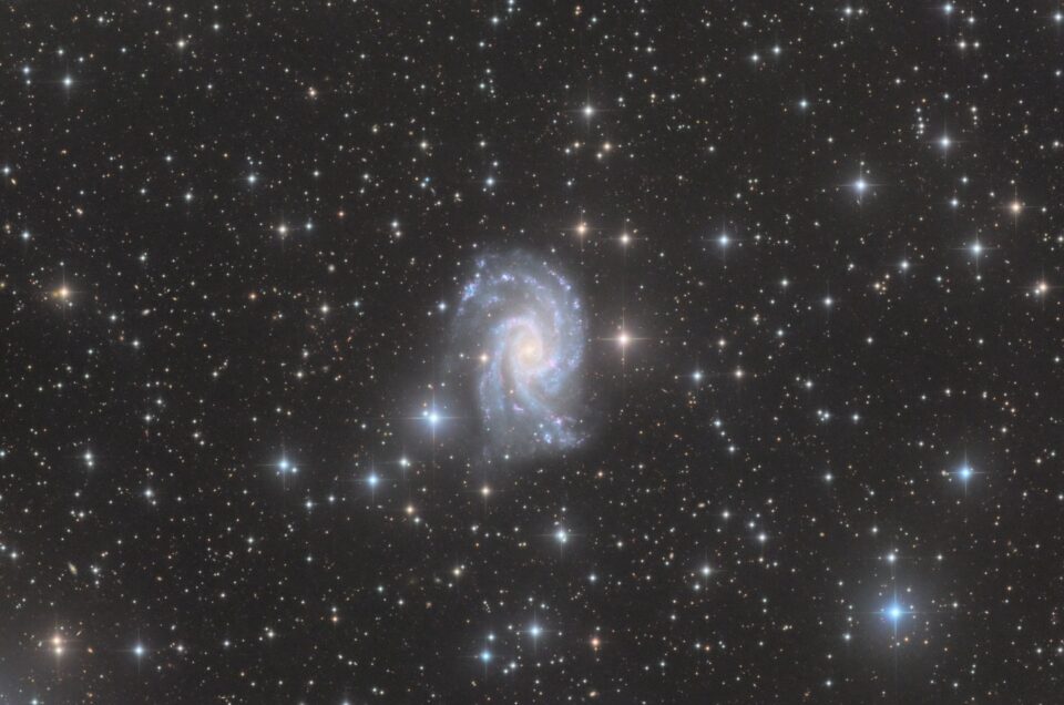 NGC 2835, (CHI-1 Telescope Live), 2020