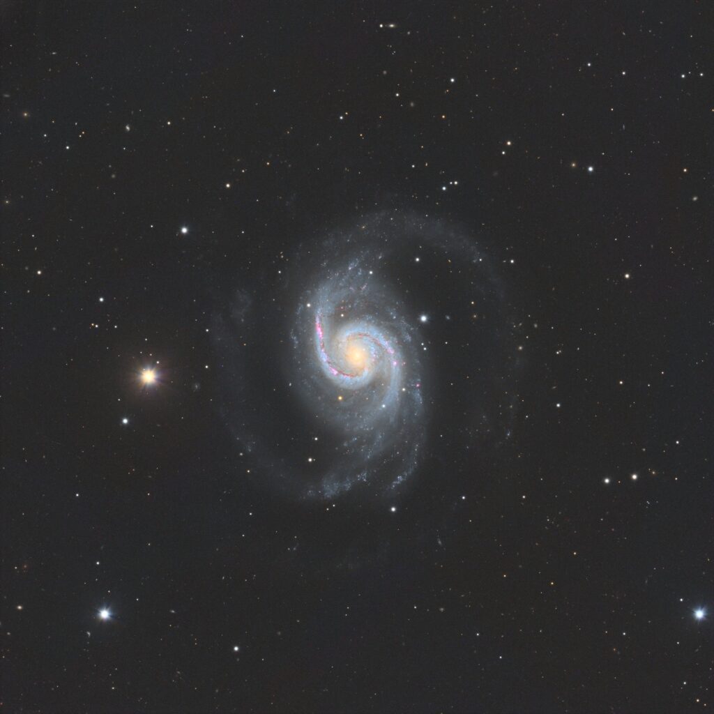 NGC 1566 (Telescope Live, CHI-3)