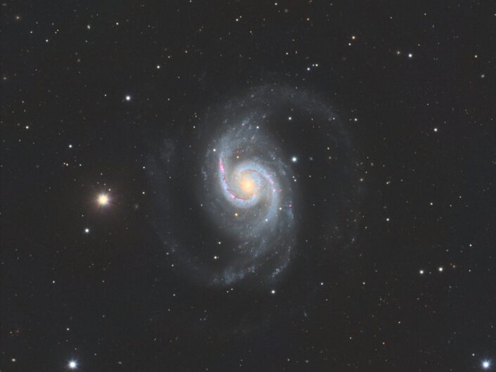 NGC 1566 (Telescope Live, CHI-3)