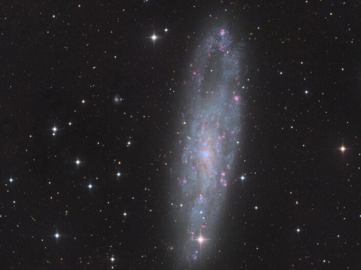 NGC 247 (Telescope Live, CHI-1)