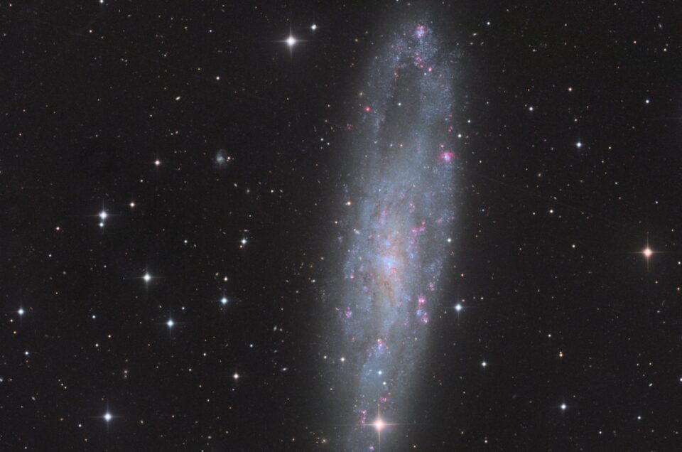 NGC 247 (Telescope Live, CHI-1)