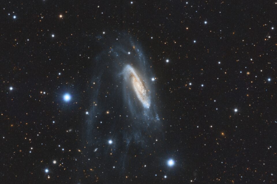 NGC 3981 (Telescope Live, CHI-3)