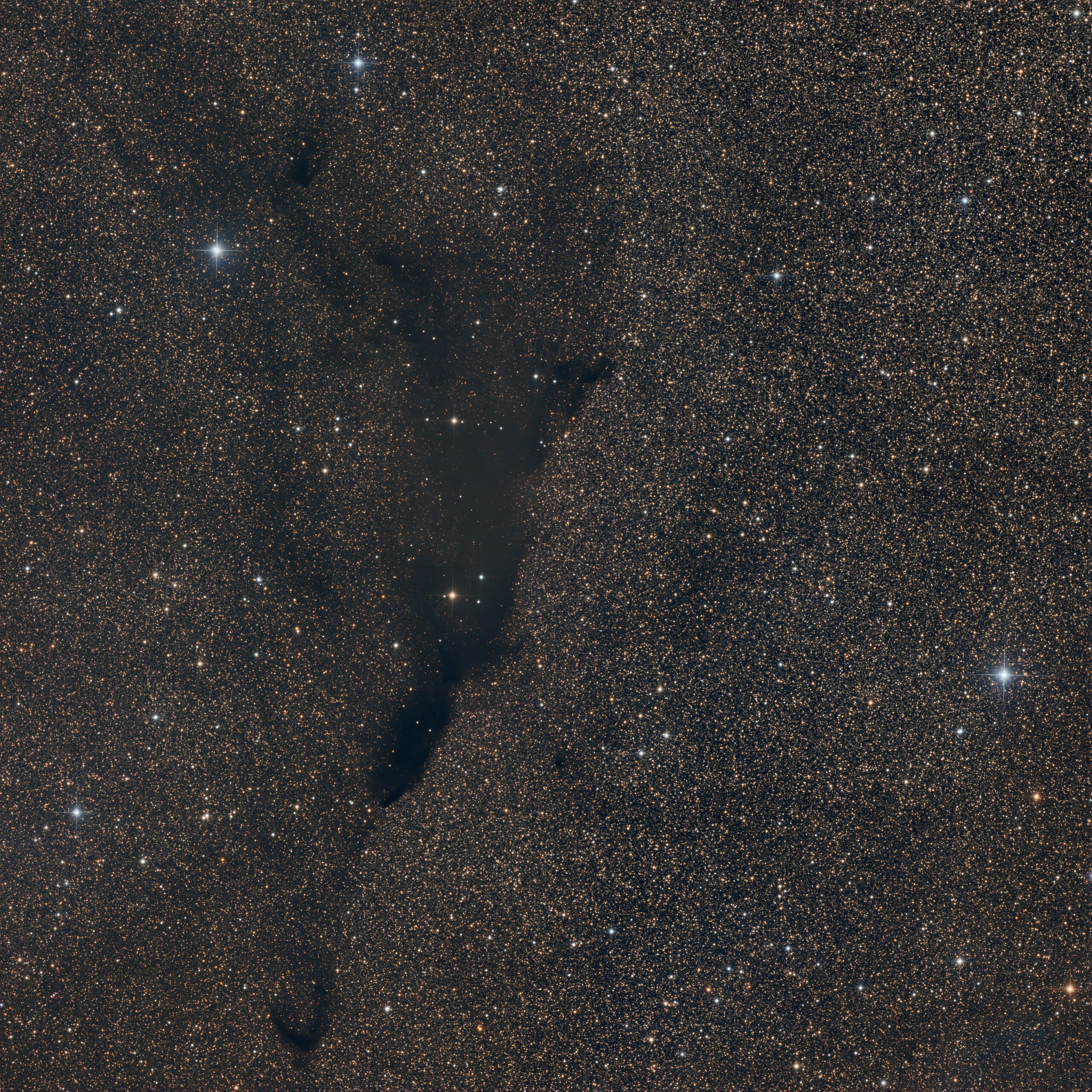 Barnard 252, Chile (Telescope Live ), 2021