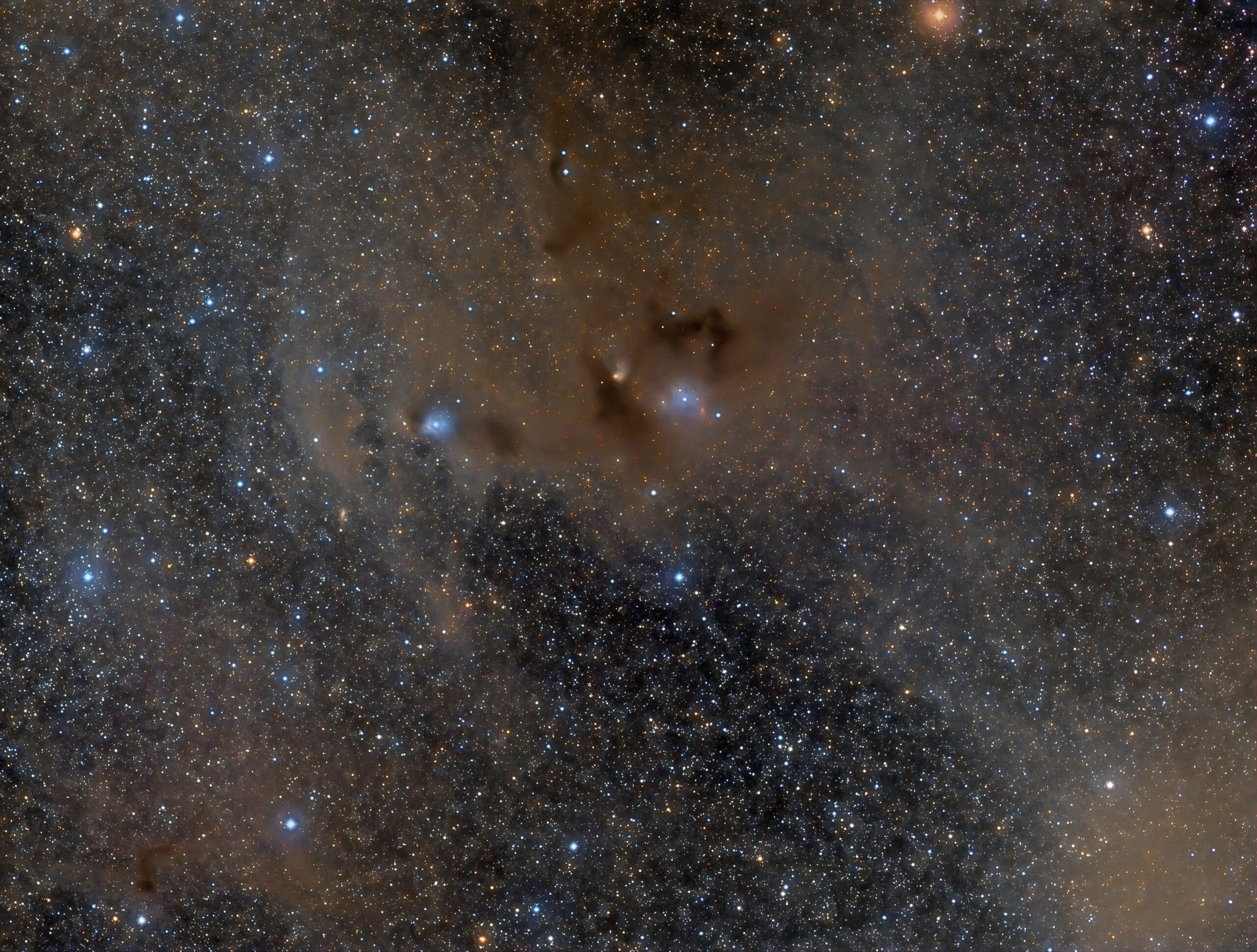 Bernes 142 (Tivoli, Namibia), 2015