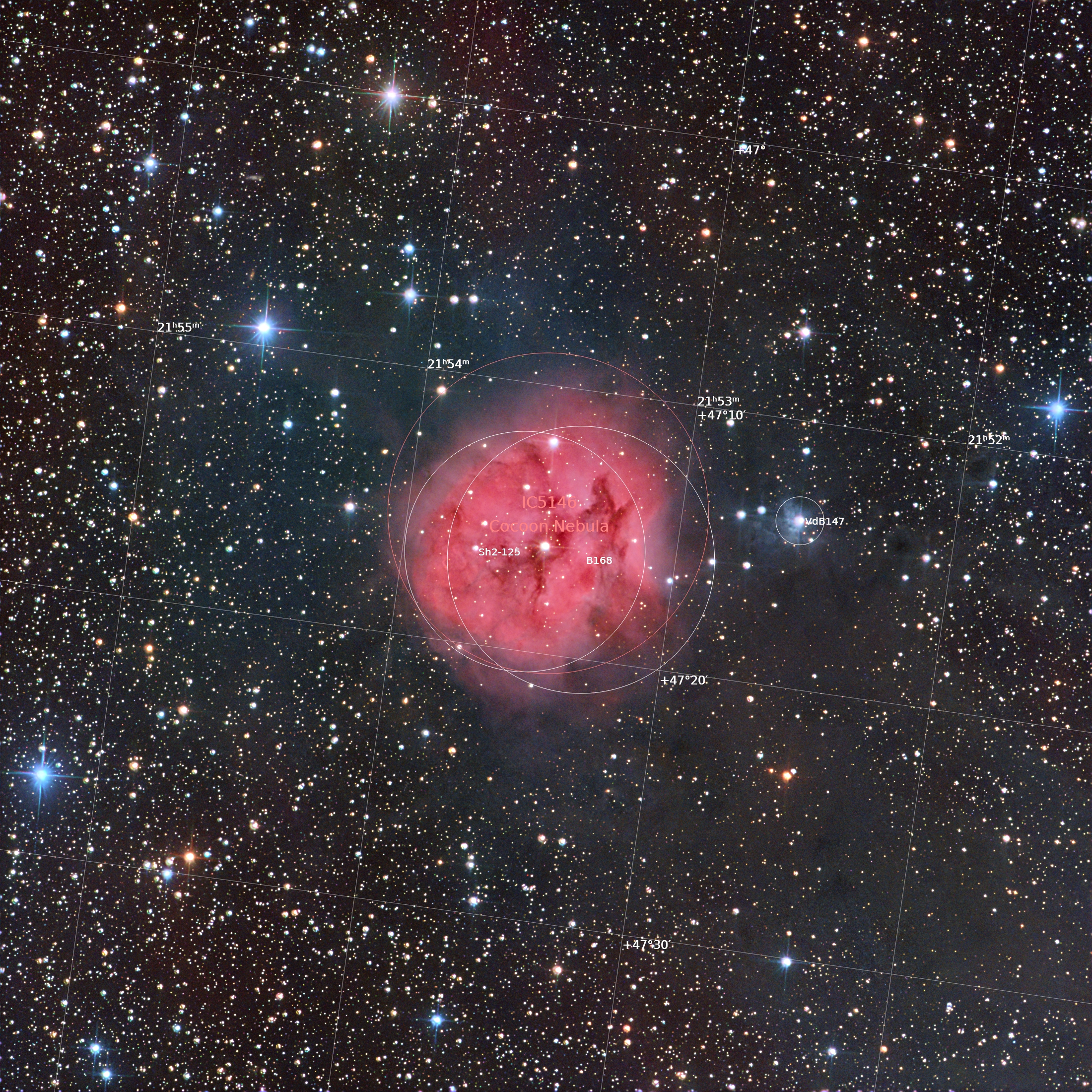 IC 5146 annotated