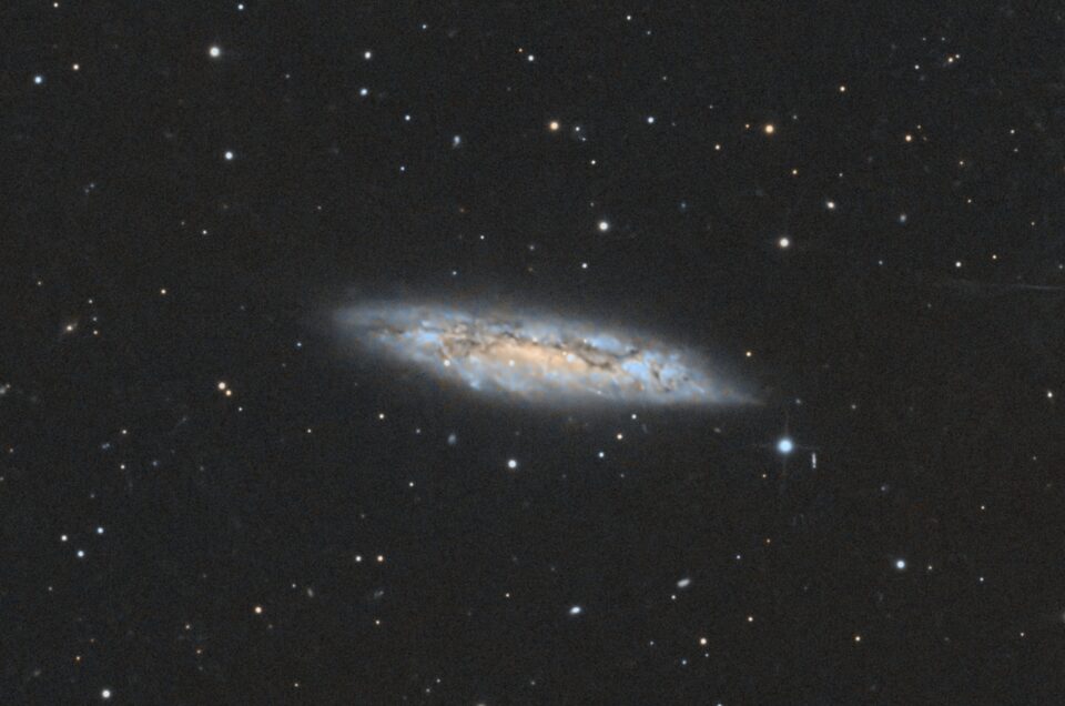 Messier 108, Varel, 2025