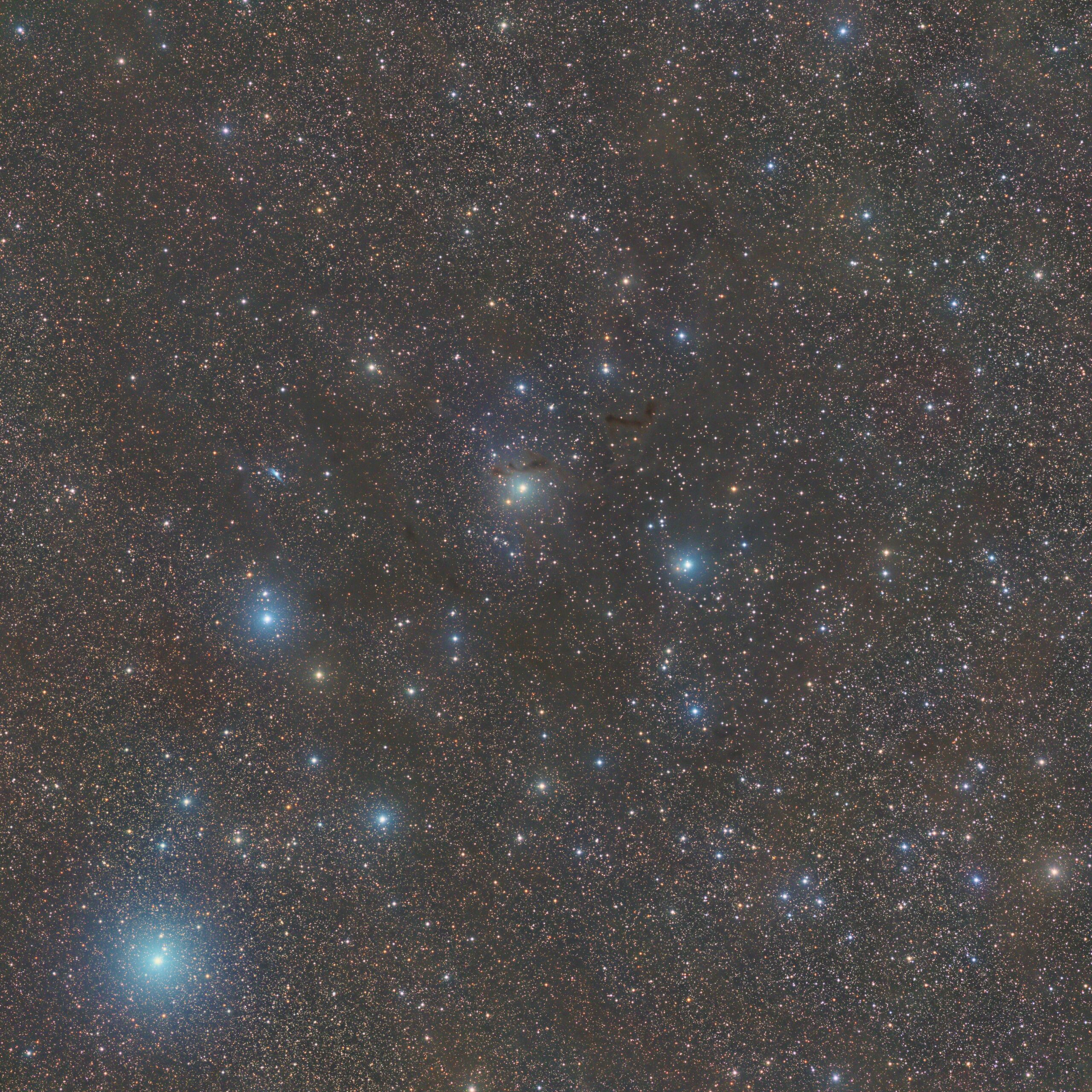 LDN 1355, (Telescope Live, Spain), 2022