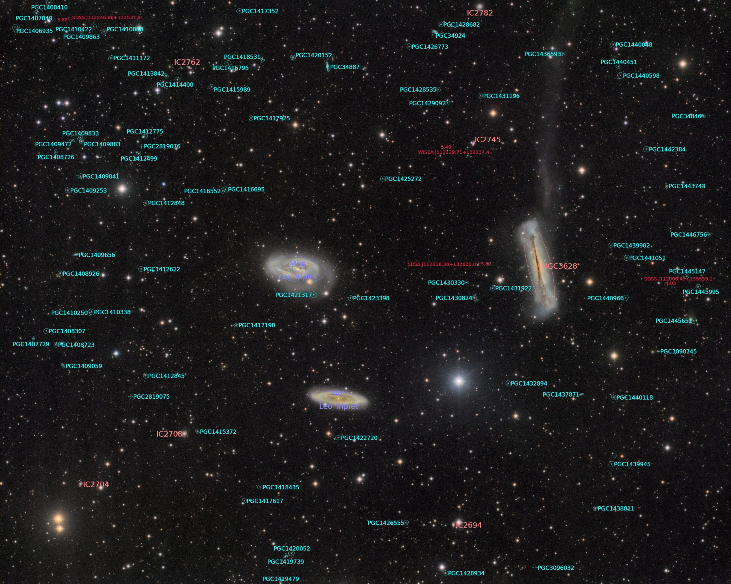Leo Triplet DSW annotated