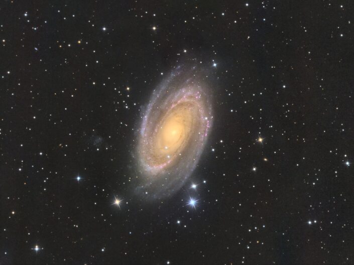 Messier 81, Krefeld, 2015/16