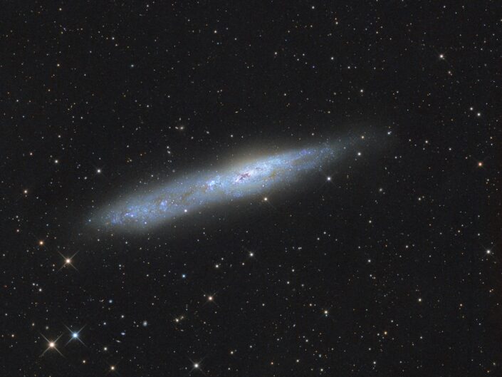 NGC 55, Tivoli, Namibia, 2013