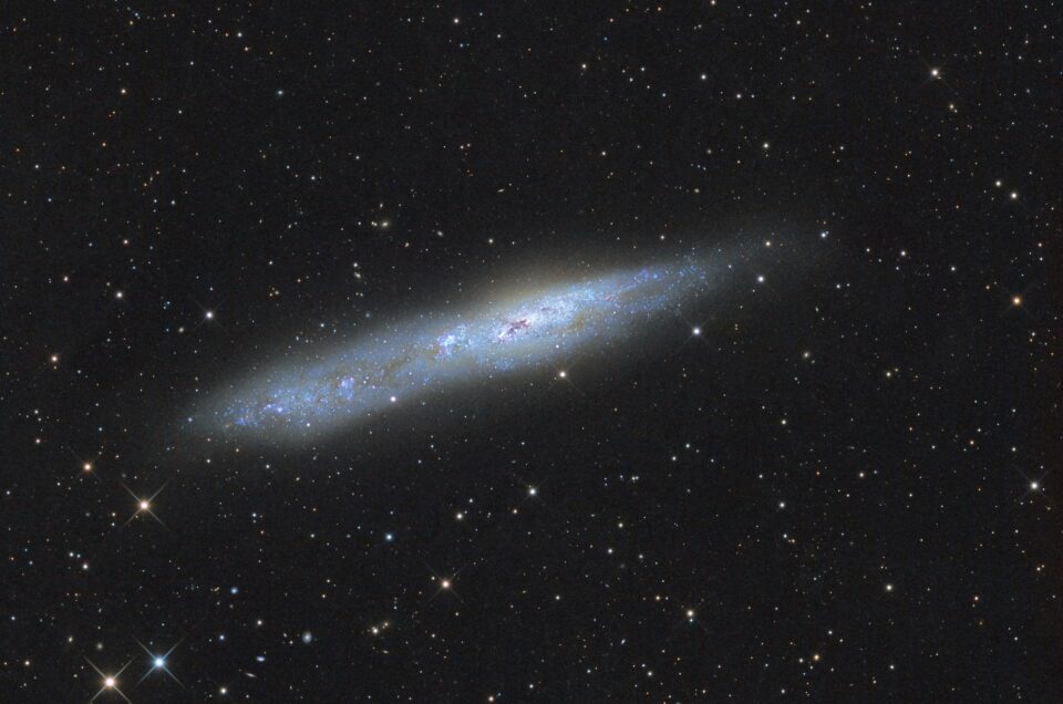 NGC 55, Tivoli, Namibia, 2013