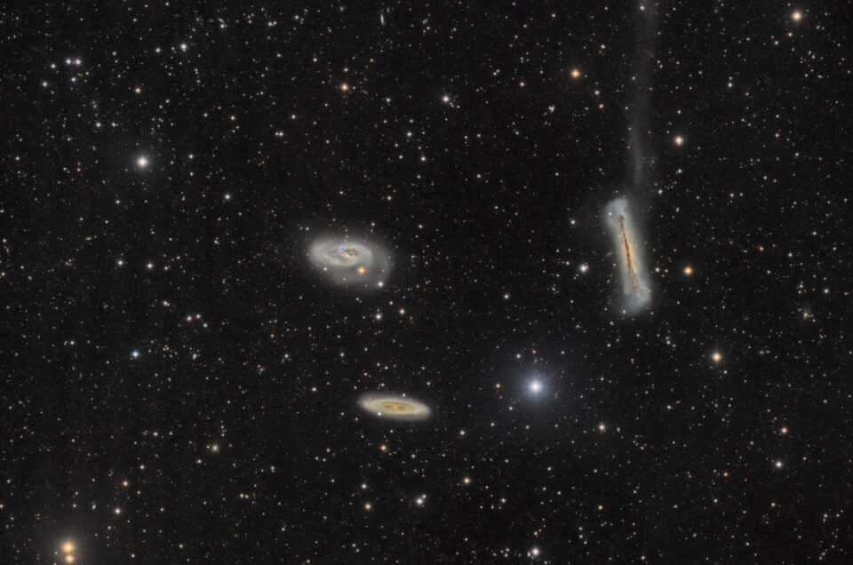 Leo Triplet, DSW, New Mexico, 2018