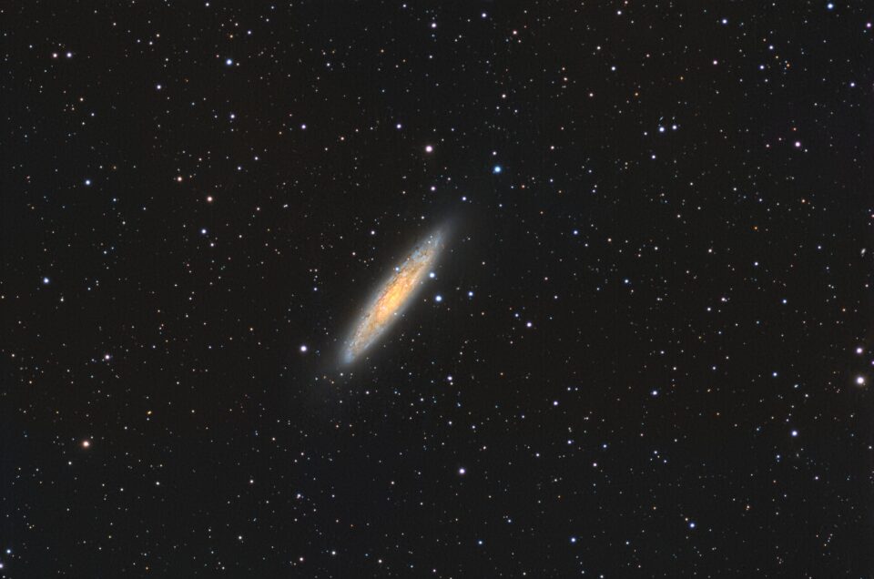 NGC 253, Tivoli, Namibia, 2008
