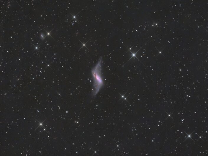 NGC 660, Tivoli, Namibia, 2013