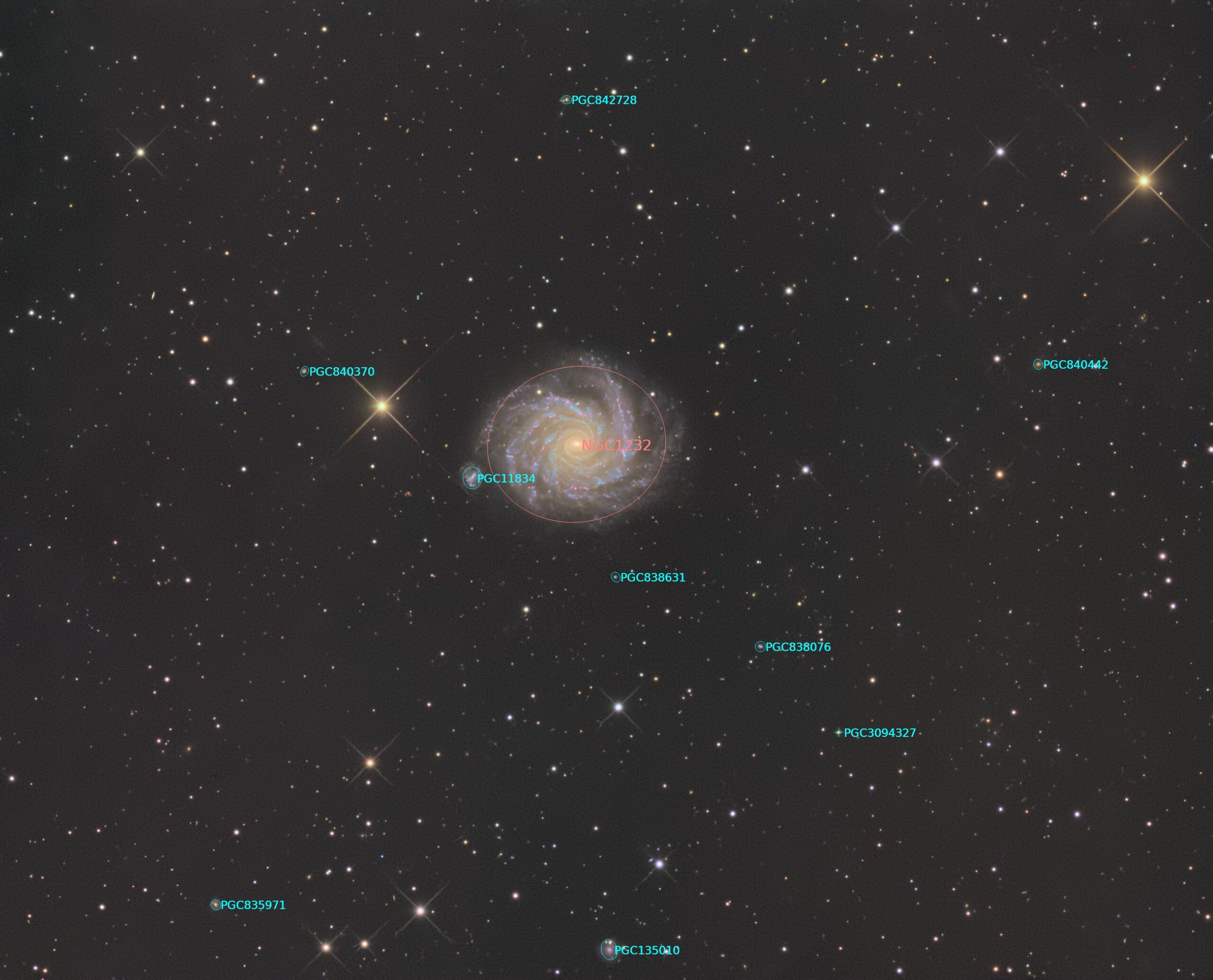 NGC 1232 annotated