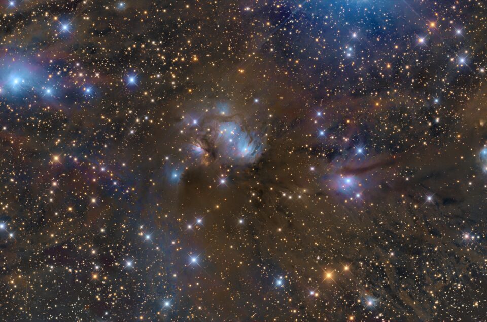 NGC 2185, Insight Observatory, China, 2022