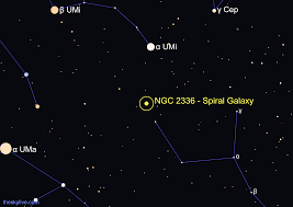 NGC 2336 Finder Chart