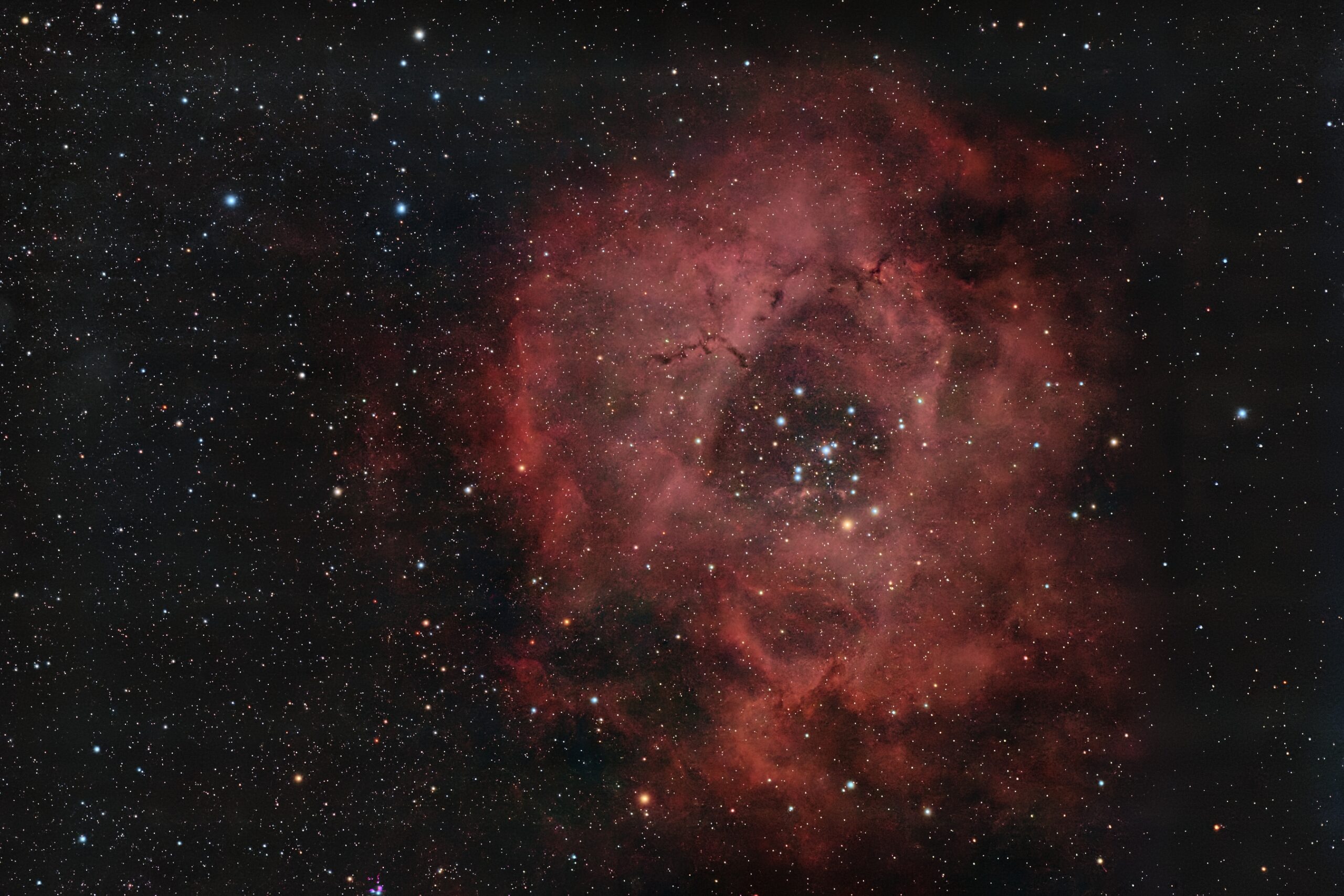 NGC 2244 and Sh2-275, Krefeld, 2007