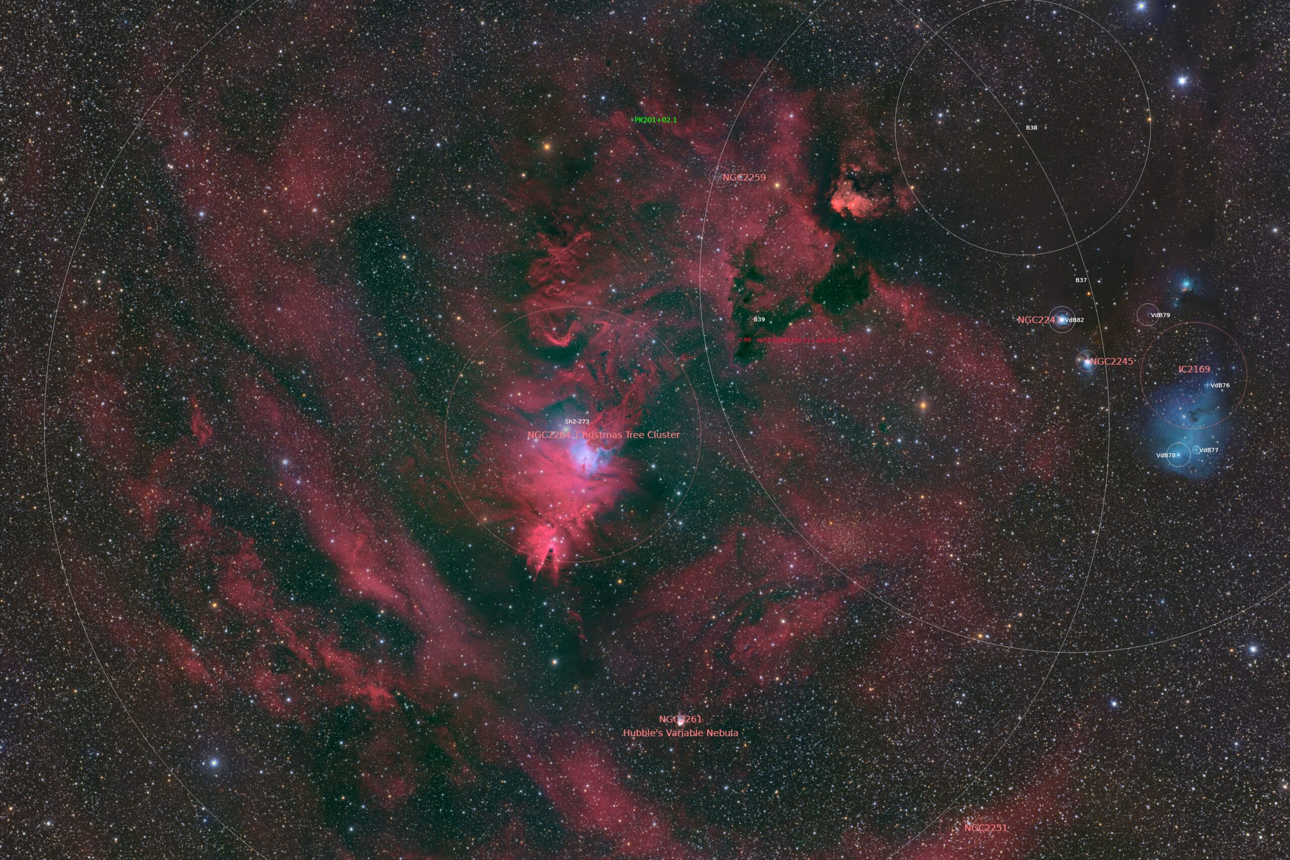 NGC 2264 annotated