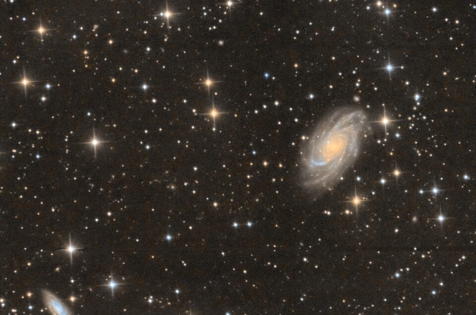 NGC 2336, Krefeld, 2023