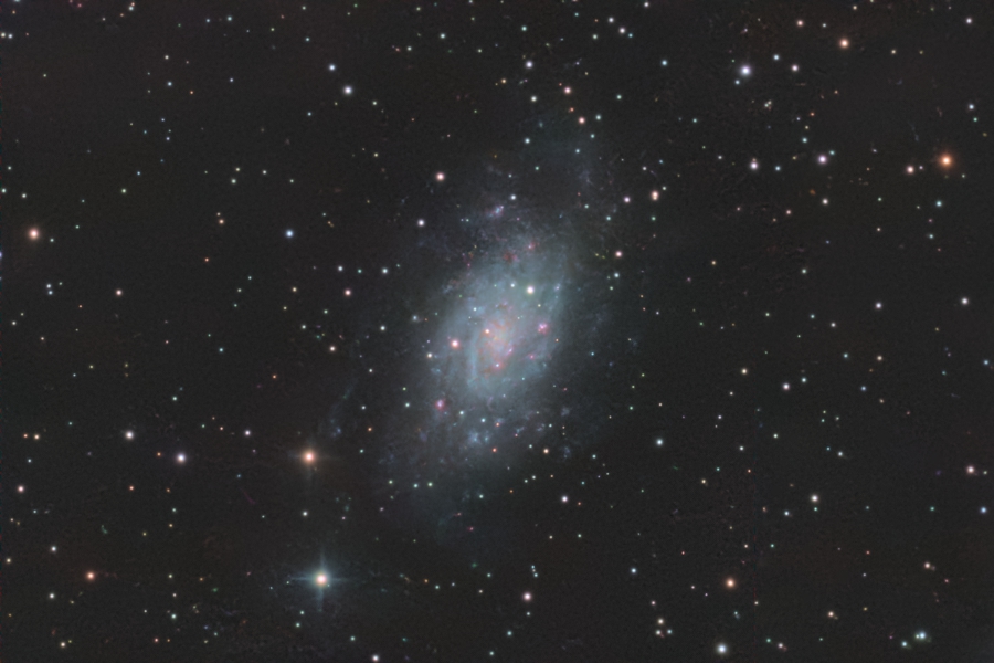 NGC 2403, Krefeld, 2010