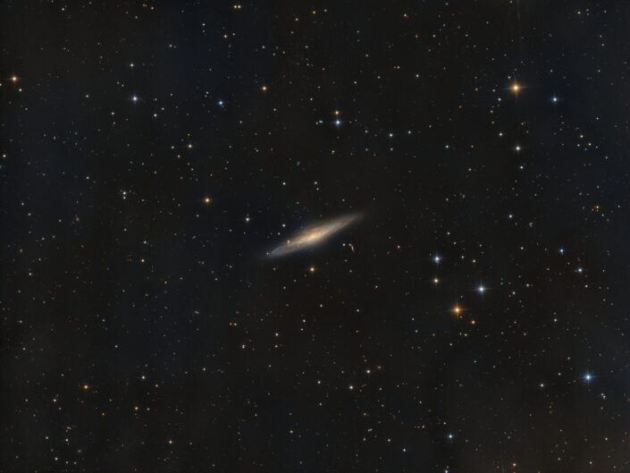 NGC 2683, Krefeld, 2018