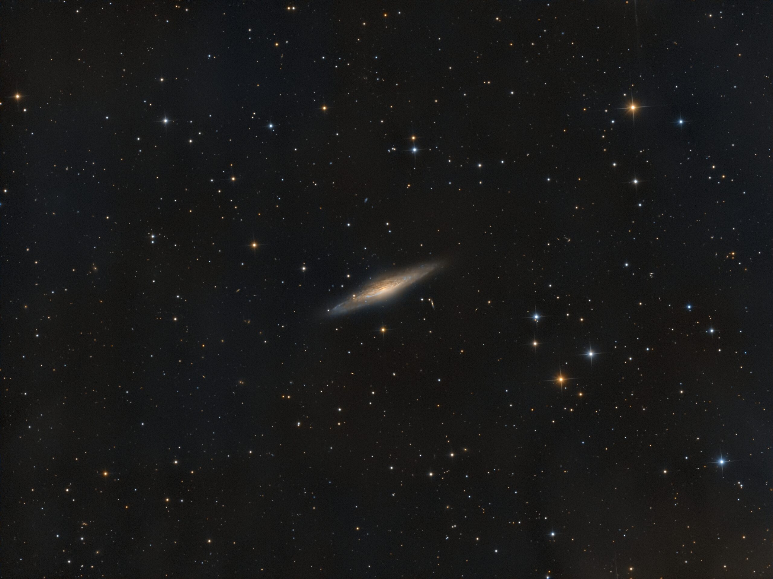 NGC 2683, Krefeld, 2018