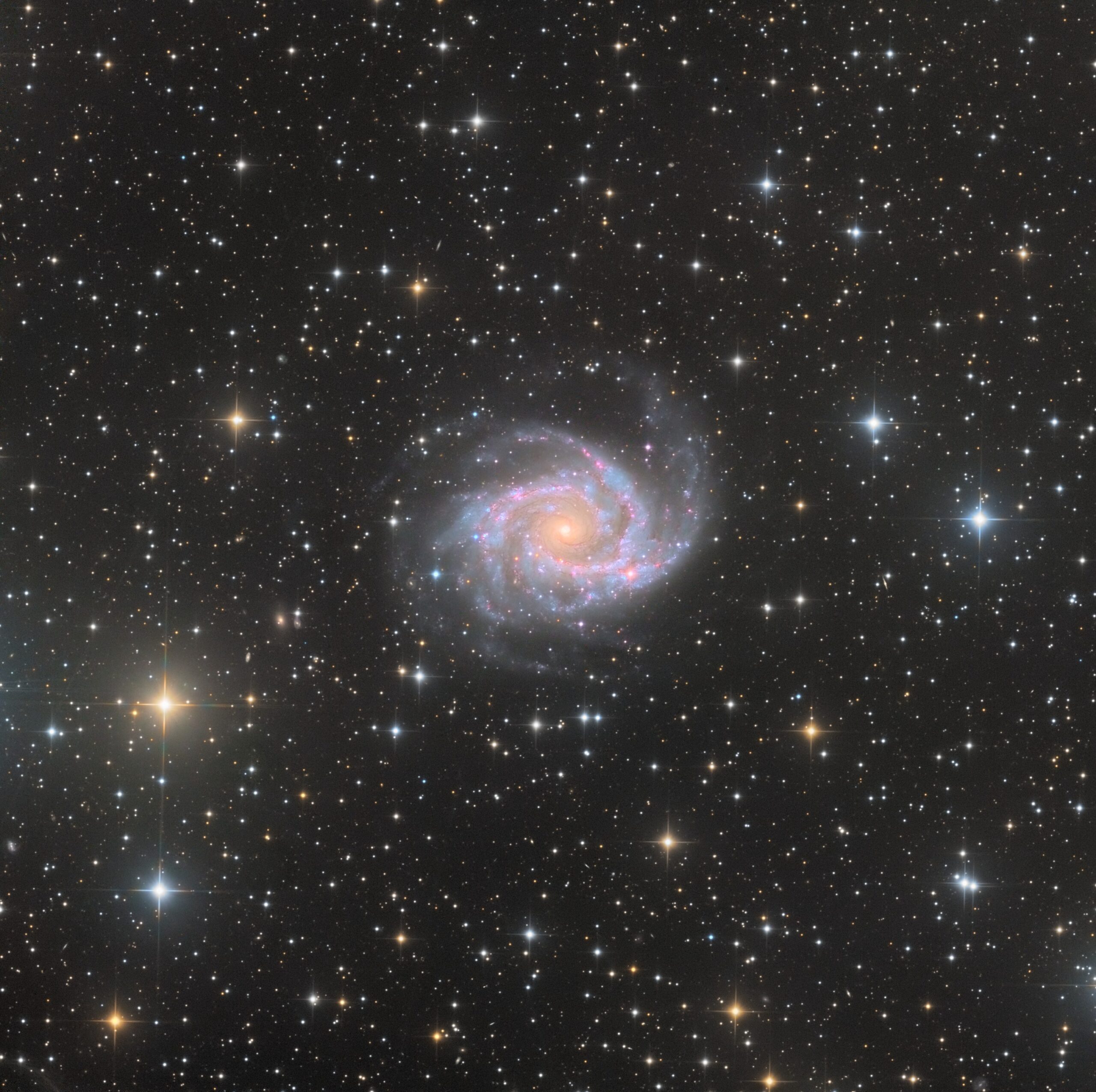 NGC 2997, Telescope Live, Chile, 2021