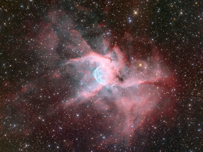 NGC 2359, Insight Observatory, China, 2021