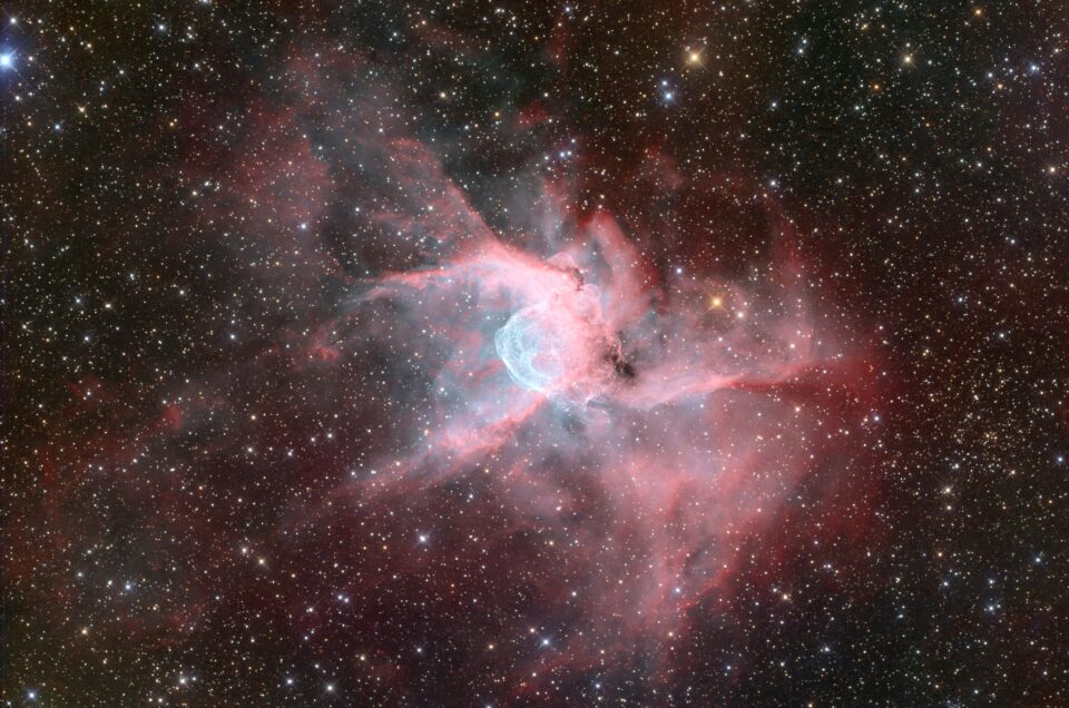 NGC 2359, Insight Observatory, China, 2021